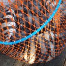 가거도 태양 이미지