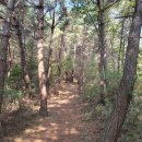 경기둘레길 안산51코스 이미지