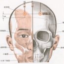 [臨泣穴][임읍혈] [頭臨泣][두임읍] 이미지