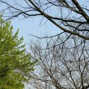 평택항로 이미지