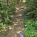 오전동 약수터 이미지