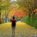 송정제방 이미지