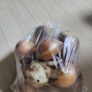 대자연유치원 이미지