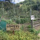 꽃피는무릉도원 | 200927 여름휴가④ (운교산방/산골짜장면/하늘마루염소목장/꽃피는무릉도원)