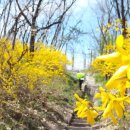 고은산놀이터 화장실 이미지