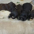 수원-이의-이의-07 이미지