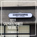 푸푸파파 네이버블로그