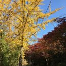 신례원한의원 이미지