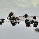 바다닮다 이미지