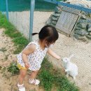 전남도청비둘기어린이집 이미지