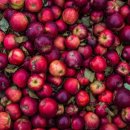 청명오토바이 이미지