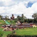 소인국테마파크 이미지