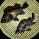 루어뱅크