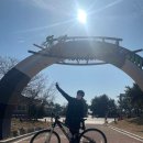 하단동1150 이미지