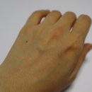 Sun Tree(썬 트리) 이미지