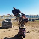 제주도 고비 | 몽골 3박4일 여행 고비사막 온천 테를지 후기! 2026년 달 없는 날