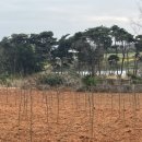 영민농장 이미지