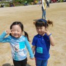 곤지암한솔유치원 이미지