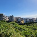 중문오렌지파크 이미지