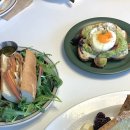 서광(아) 이미지