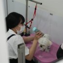 이뻐질개 이미지