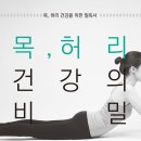 청년허리 이미지