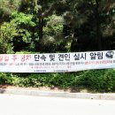 주정차단속-116 이미지