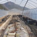 사천제일의원 이미지