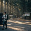 고요함 | 인제 소양강 상류 생태길, 고요함 속 힐링 트레킹 후기