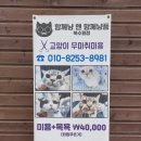 함께냥 앤 함께냥품 북수원점 이미지