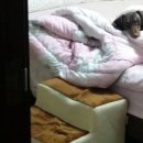 간지가 하는 얘기 귀담아들어