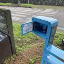 제주풍경하우스 | 초보 올레꾼의 제주 올레길 6코스 후기🌴(길풍경/정방폭포/먹거리/허니문하우스/난이도)