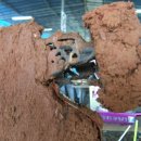 프리월드 이미지