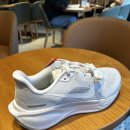 강릉성모안과의원 이미지