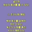 건강자연