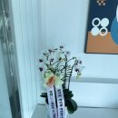 Art Rin Museum 이미지