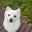 그룸 앤 먼치 이미지