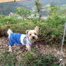 산청별천지캠핑장 이미지