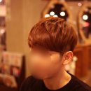 소프트헤어