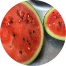 법인드림팜 | 수박 가격 11000원에 하루배송 내돈내산 개인적인 후기(수박 써는 법 참고)
