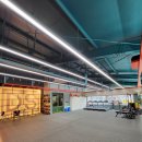 달서권투 이미지