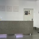 홍경태동물병원 이미지