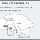 금연의 비법 및 금연후 신체적 변화 이미지