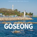 수산물유통시설관리사업소활어장 | 강원도 고성 가볼만한곳 한국어촌어항공단이 추천하는 국가어항 대진항 방문 후기