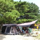 퇴촌 펀 | 파주 해브펀 캠핑어라운드 캠핑장(오스틴 웜그레이 첫피칭)