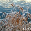 임계중앙교회 이미지