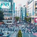 Globally Consulting 이미지