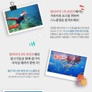 보홀로드