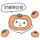 머슬원핏 배곧신도시점 이미지