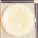 (주)골든리버 | 커터 더블 아이피에이(Fogcutter Double IPA), 미국 러시안 리버 브루잉 맥주, IPA 아이피에이 맥주 추천